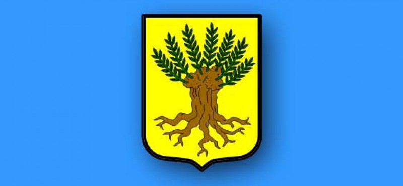 Općina Vrbje